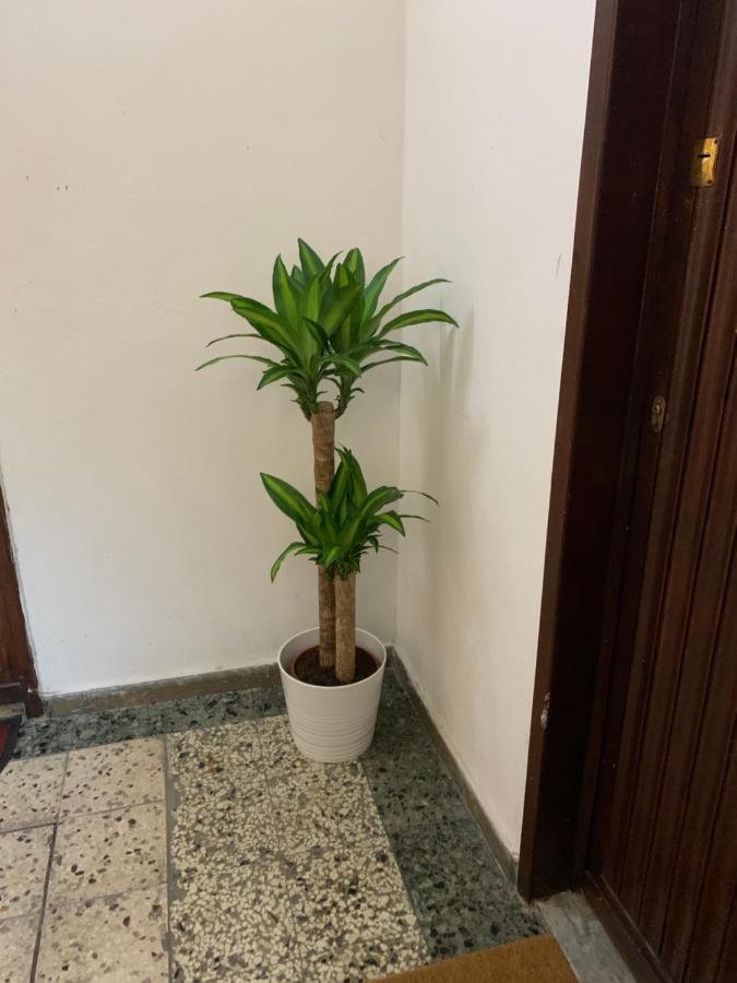 Pisa Train Station Guest House 외부 사진